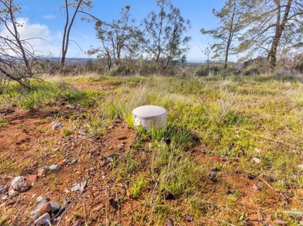 4446 Fremonts Loop, Rescue, CA 95672 Photo