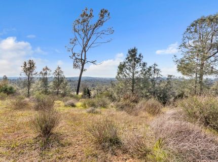 4446 Fremonts Loop, Rescue, CA 95672 Photo