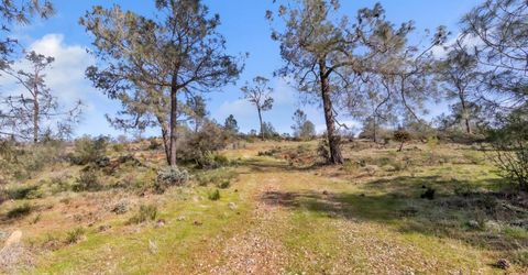 4446 Fremonts Loop, Rescue, CA 95672 Photo