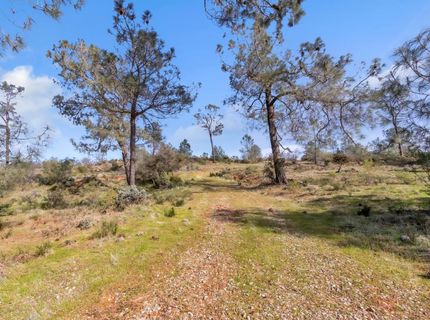 4446 Fremonts Loop, Rescue, CA 95672 Photo