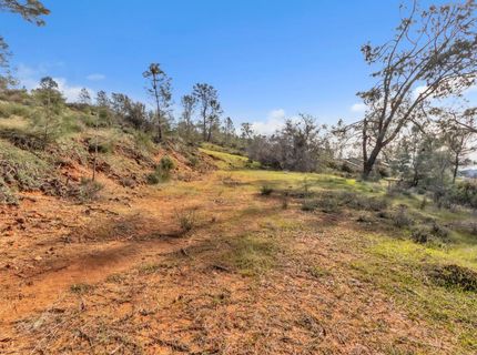 4446 Fremonts Loop, Rescue, CA 95672 Photo