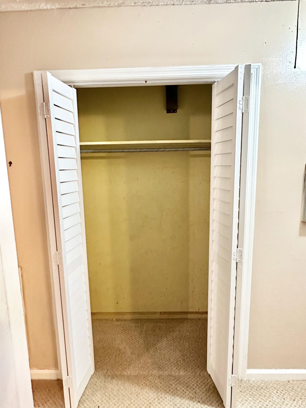 1887 Jaywood Circle Photo 23