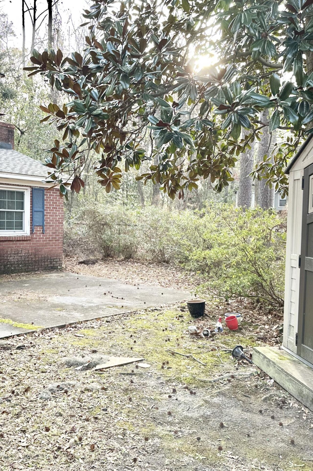 1887 Jaywood Circle Photo 29