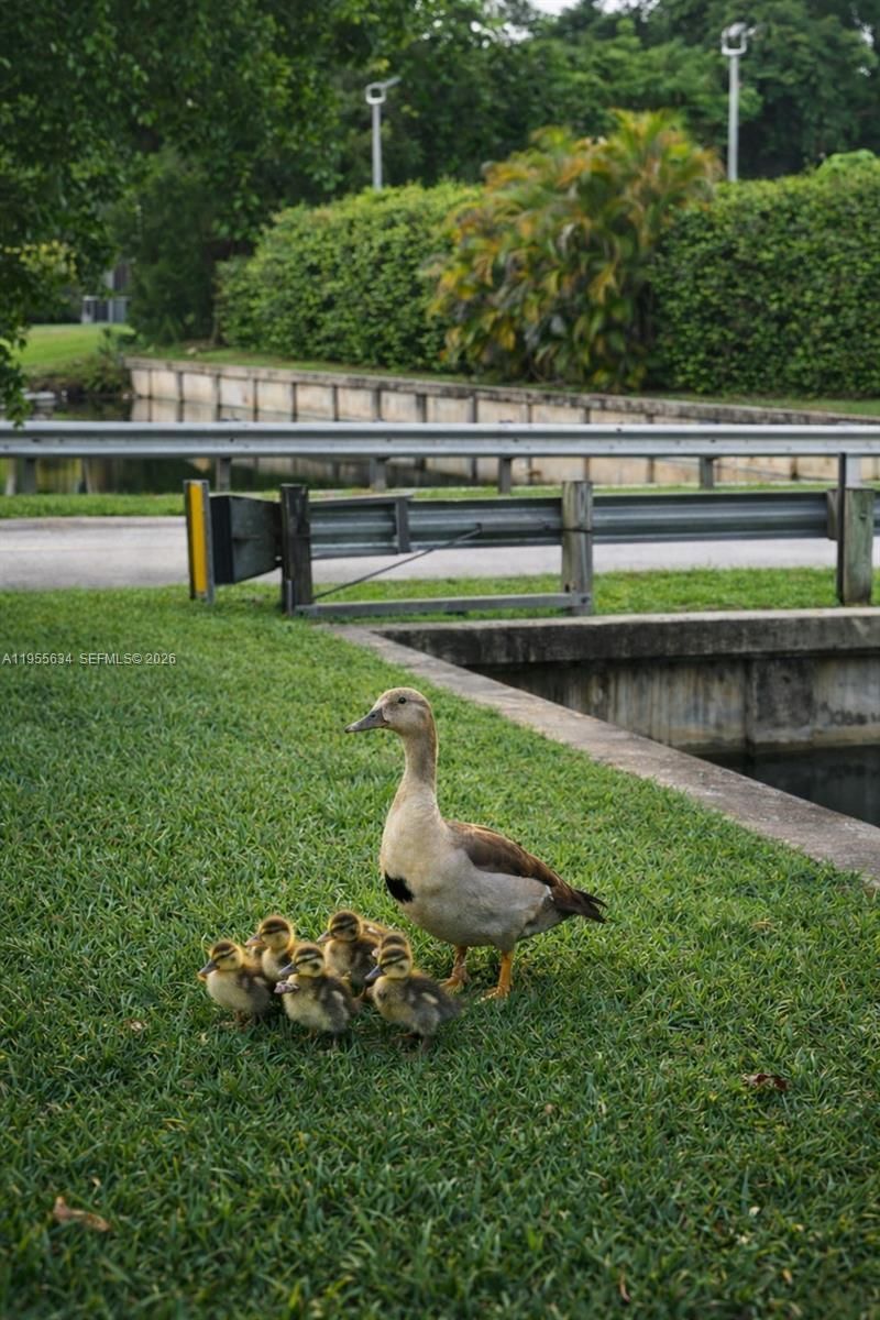 5700 White Hickory Cir, Tamarac, FL 33319 Photo