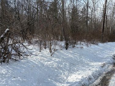 0 Townsend Road, Watkins Glen, NY 14891