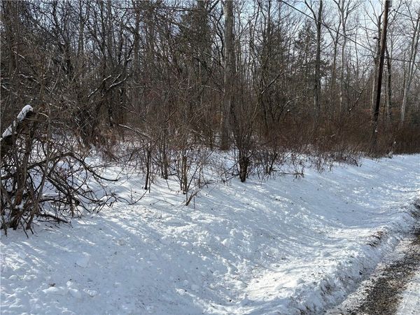 0 Townsend Road, Watkins Glen, NY 14891