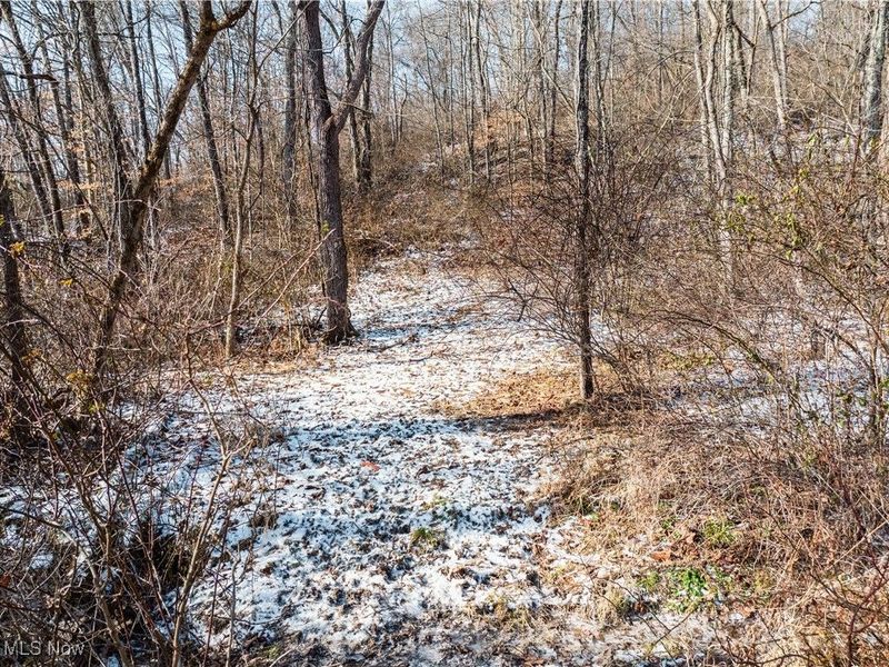 Clay Pike, Chandlersville, OH 43727 Photo 12