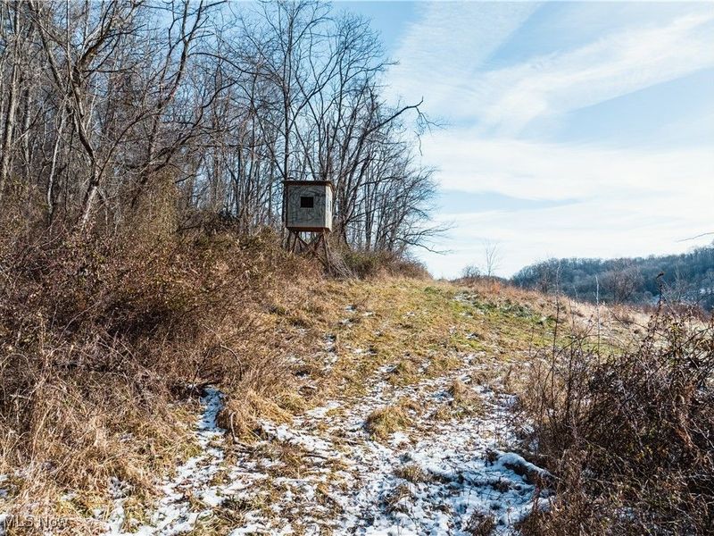 Clay Pike, Chandlersville, OH 43727 Photo 13