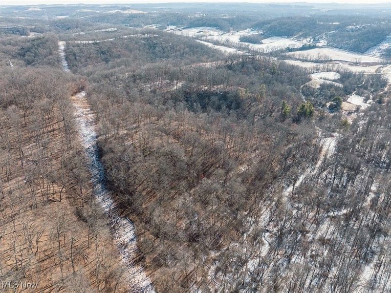 Clay Pike, Chandlersville, OH 43727 Photo 15