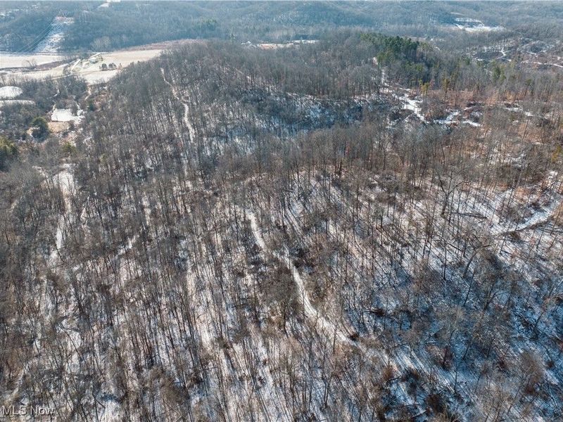 Clay Pike, Chandlersville, OH 43727 Photo 16