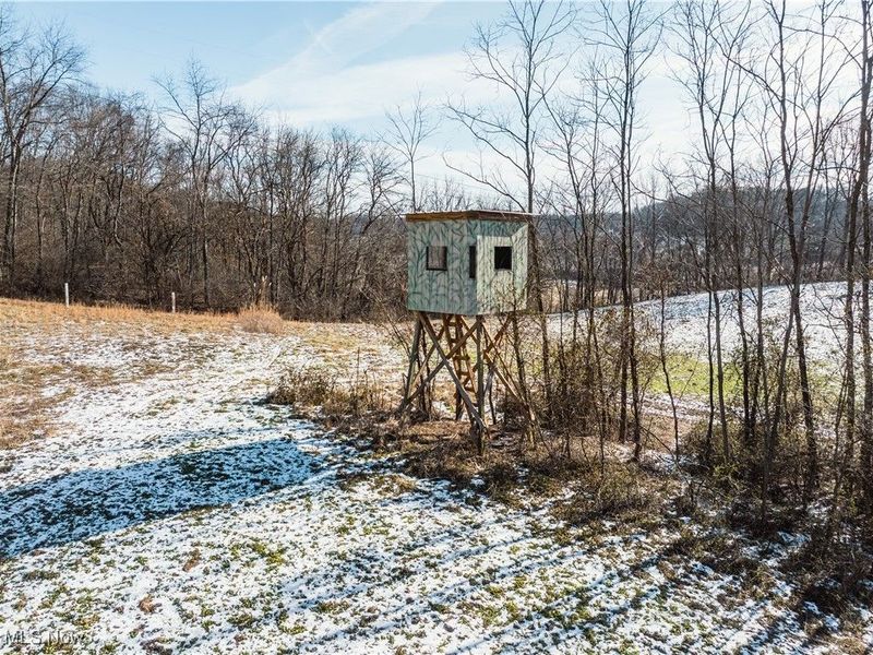 Clay Pike, Chandlersville, OH 43727 Photo 19