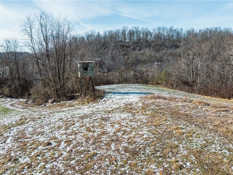 Clay Pike, Chandlersville, OH 43727 Photo 20