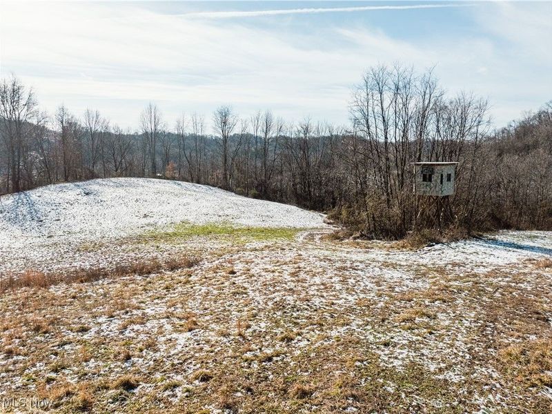 Clay Pike, Chandlersville, OH 43727 Photo 21