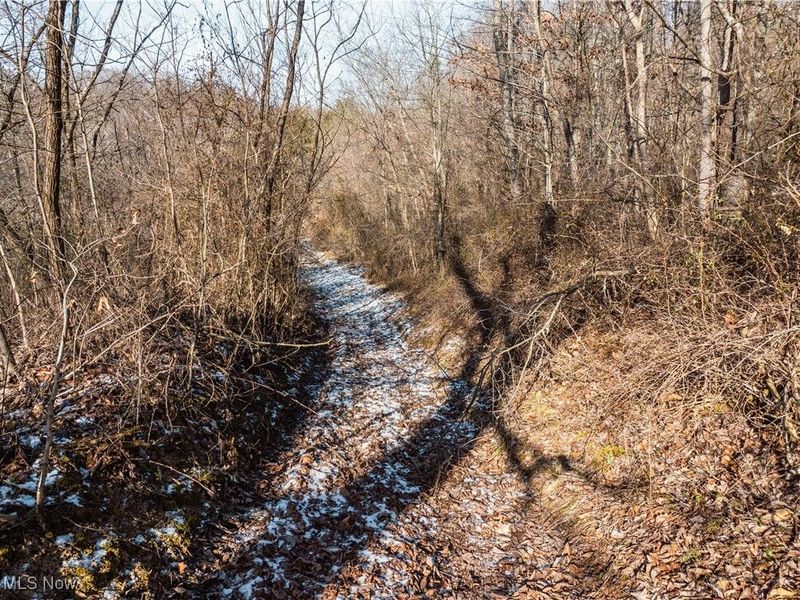 Clay Pike, Chandlersville, OH 43727 Photo 23