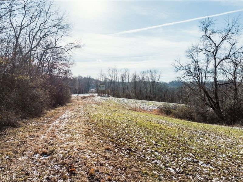 Clay Pike, Chandlersville, OH 43727 Photo 25