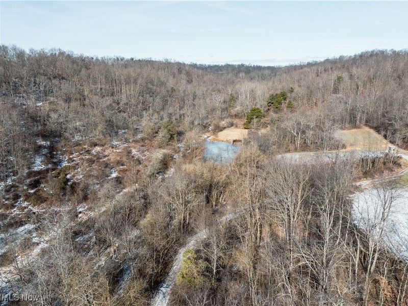 Clay Pike, Chandlersville, OH 43727 Photo 26