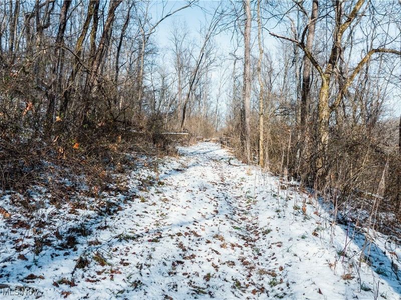 Clay Pike, Chandlersville, OH 43727 Photo 27