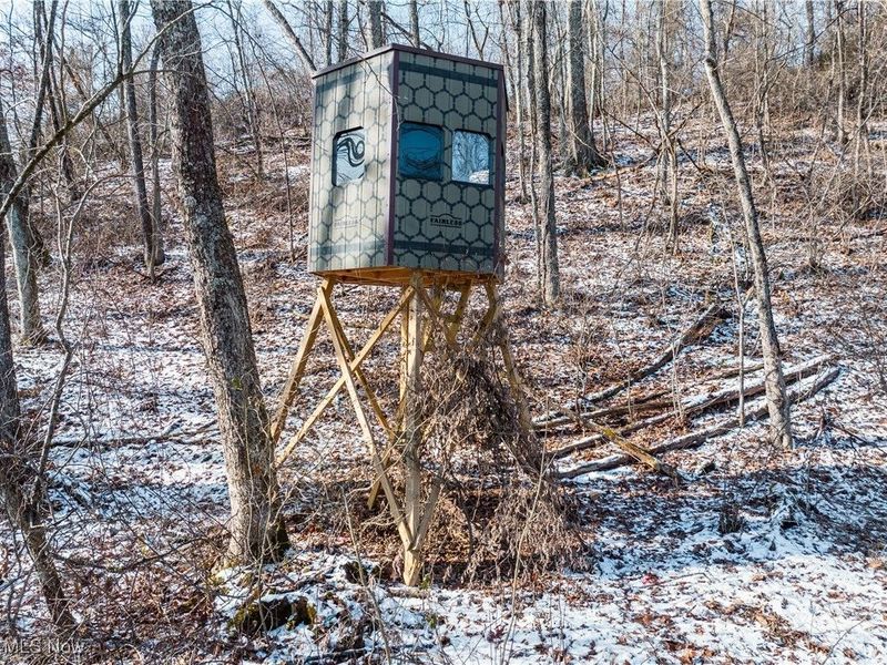 Clay Pike, Chandlersville, OH 43727 Photo 28