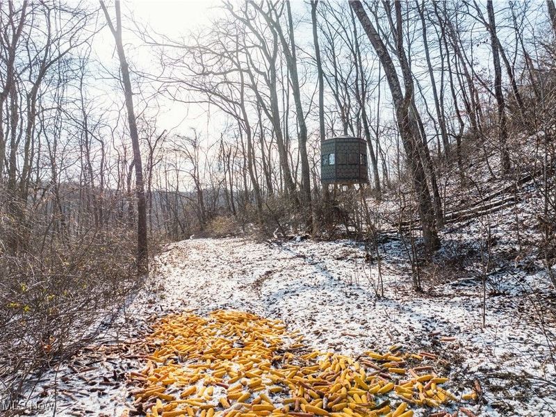 Clay Pike, Chandlersville, OH 43727 Photo 29