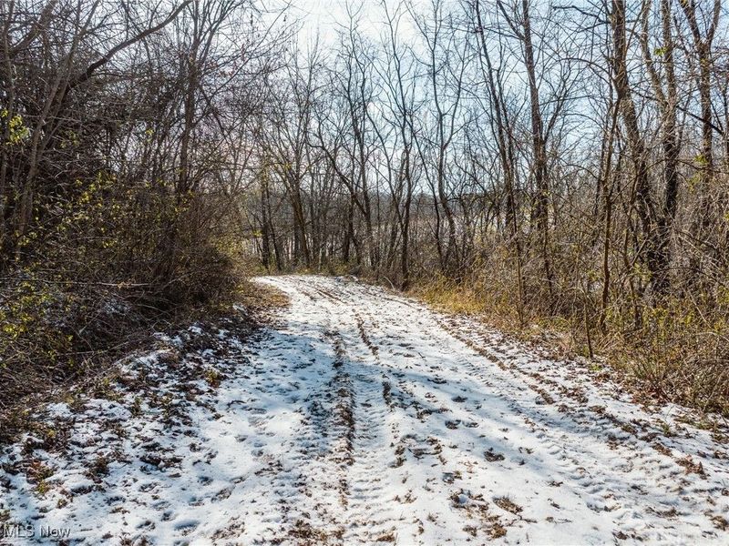 Clay Pike, Chandlersville, OH 43727 Photo 32
