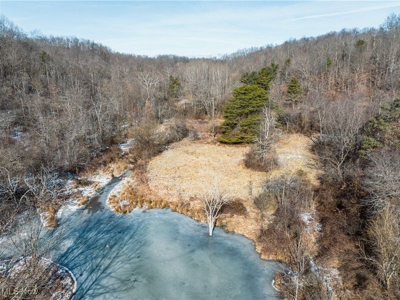 Clay Pike, Chandlersville, OH 43727 Photo 33