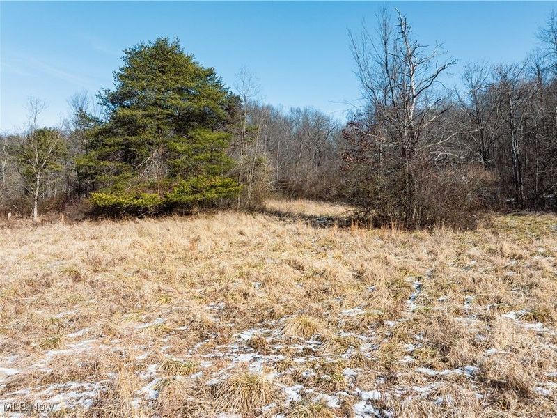 Clay Pike, Chandlersville, OH 43727 Photo 39