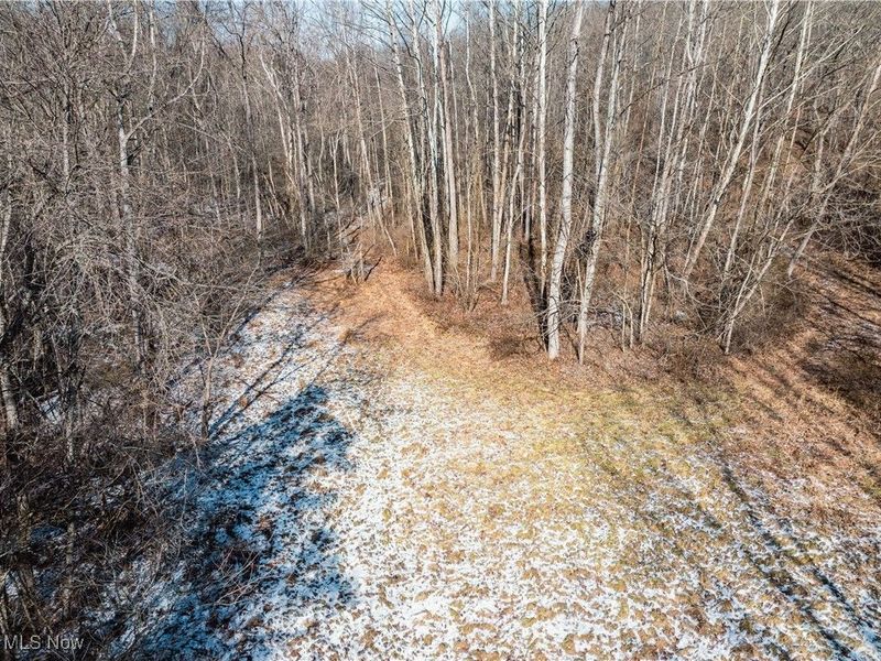 Clay Pike, Chandlersville, OH 43727 Photo 42