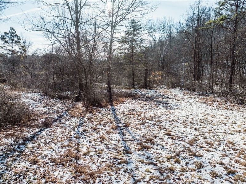 Clay Pike, Chandlersville, OH 43727 Photo 43