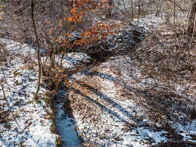 Clay Pike, Chandlersville, OH 43727 Photo 45