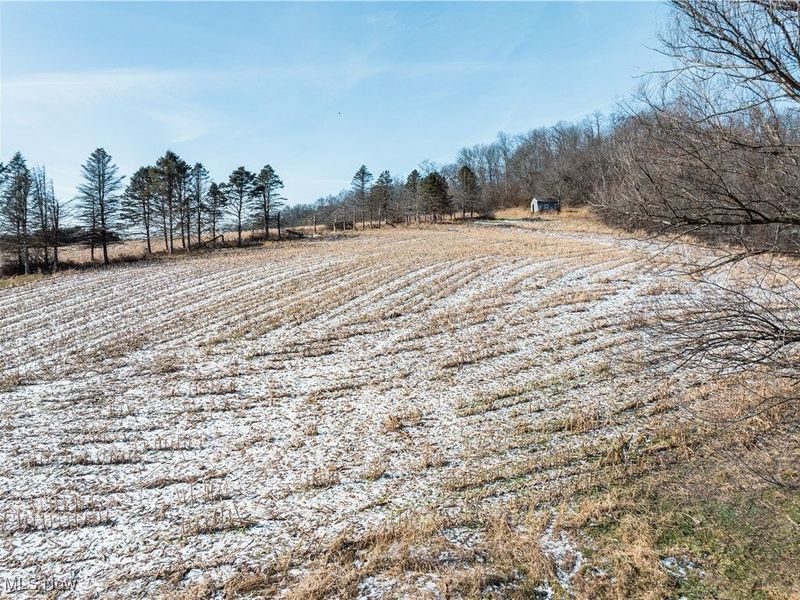 Clay Pike, Chandlersville, OH 43727 Photo 46