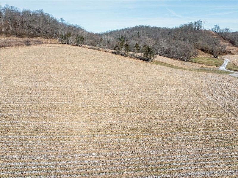 Clay Pike, Chandlersville, OH 43727 Photo 7