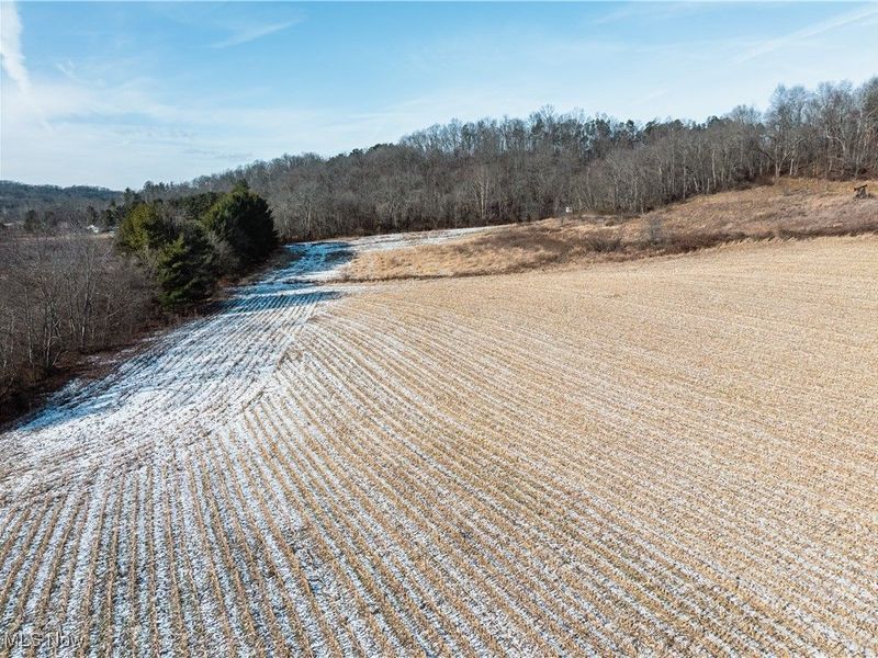 Clay Pike, Chandlersville, OH 43727 Photo 8