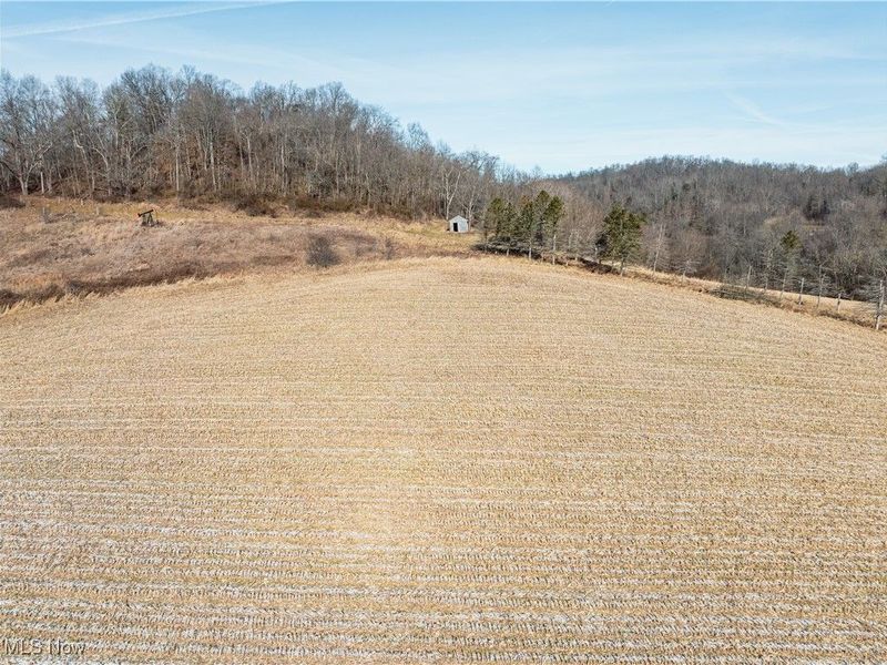 Clay Pike, Chandlersville, OH 43727 Photo 9