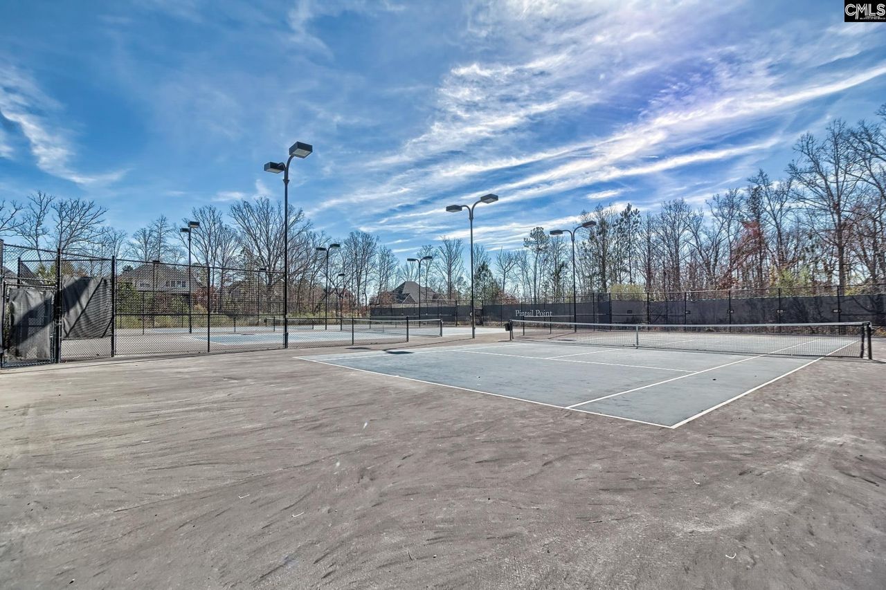 278 Pintail Lake Drive Photo 46