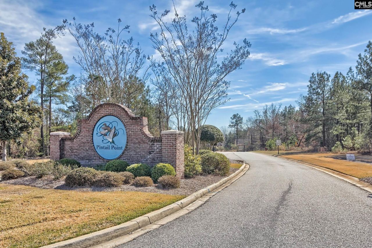 278 Pintail Lake Drive Photo 47