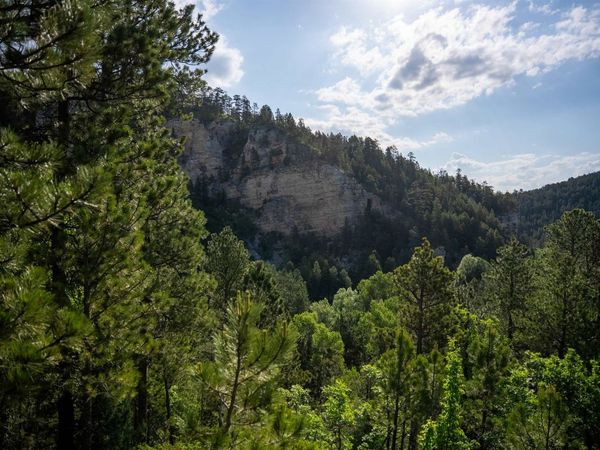 20582 Whitewood Creek Road, Deadwood, SD 57732