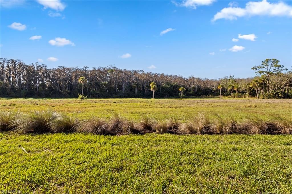 5701 Mayflower Way, Unit 1302, Ave Maria, FL 34142 Photo