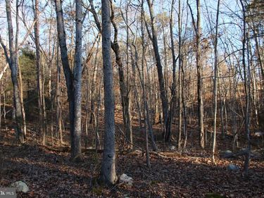 LOOKOUT DRIVE, SHENANDOAH, VA 22849