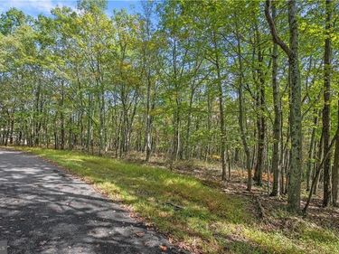 0 STONE RIDGE ROAD, ALBRIGHTSVILLE, PA 18210