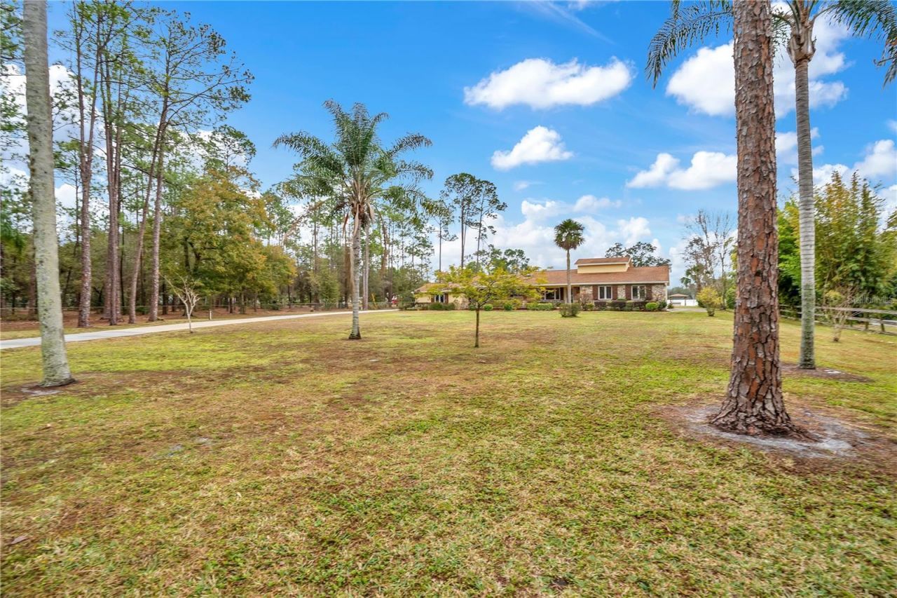 11450 Fangorn Road, Orlando, FL 32825 Photo