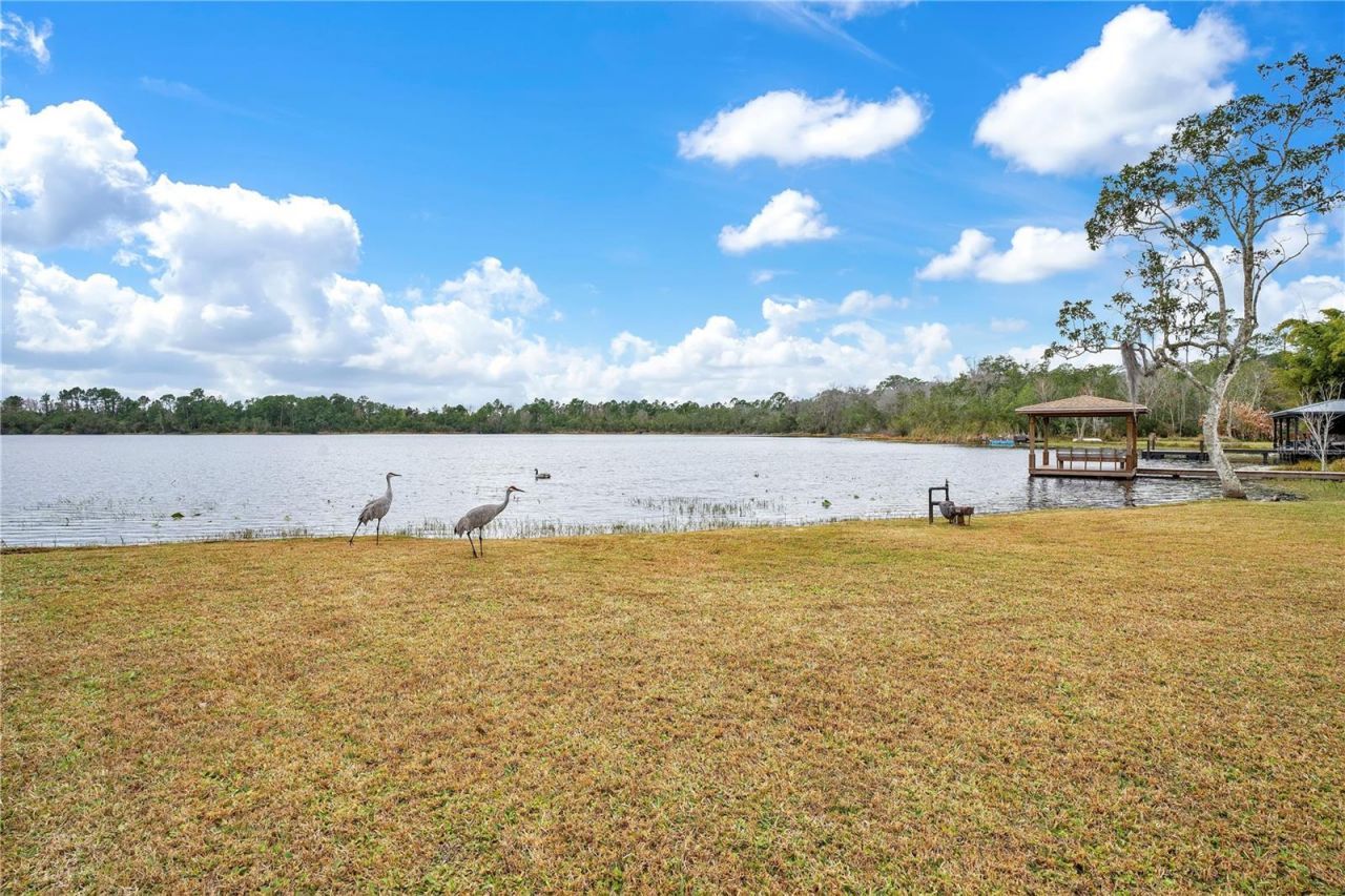 11450 Fangorn Road, Orlando, FL 32825 Photo