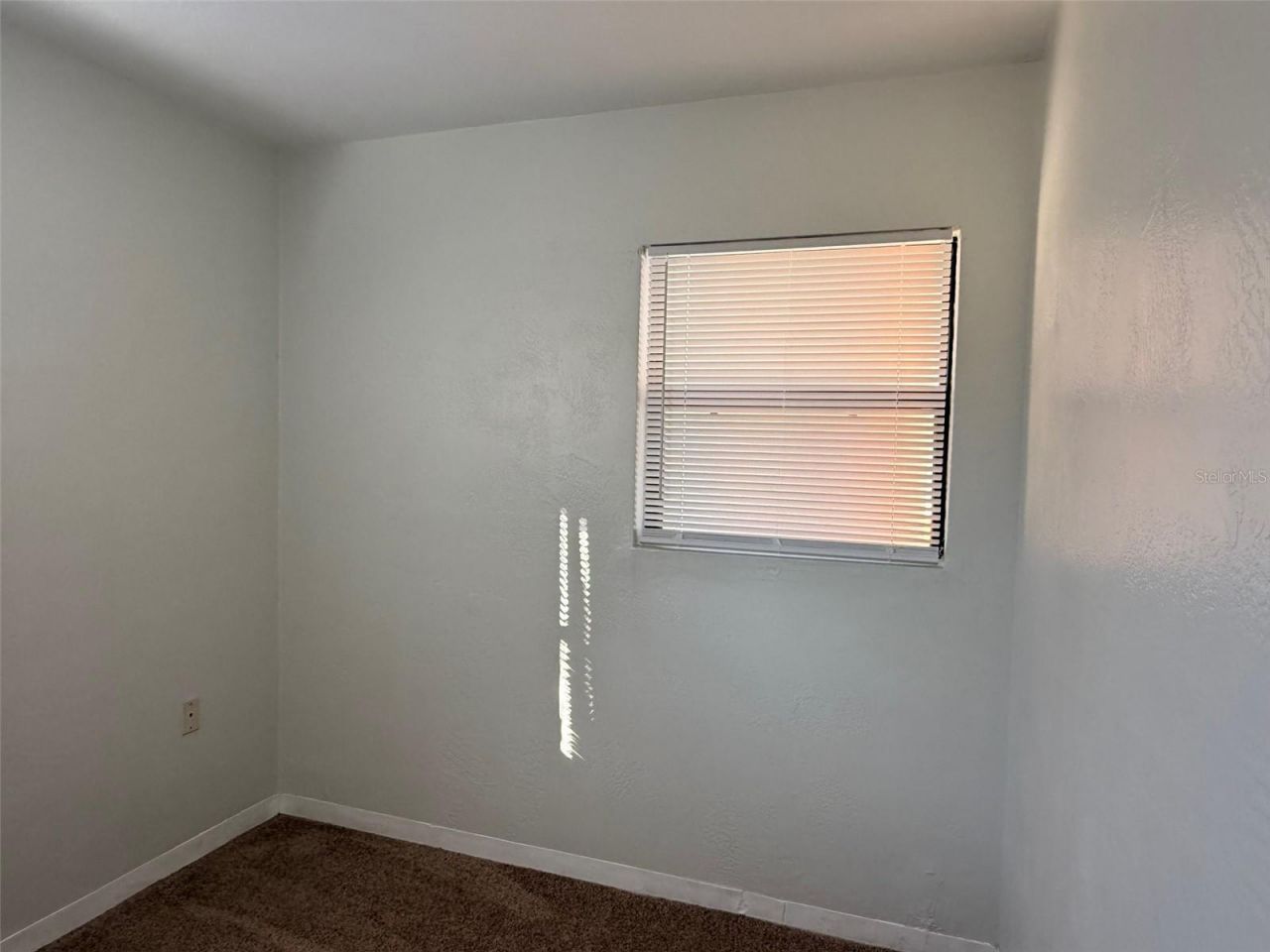 1544 77th Avenue N, Saint Petersburg, FL 33702 Photo