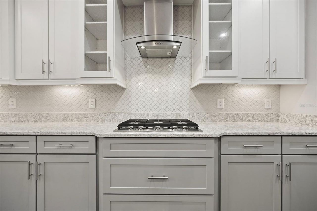 3713 Wicket Field Road, Lutz, FL 33548 Photo