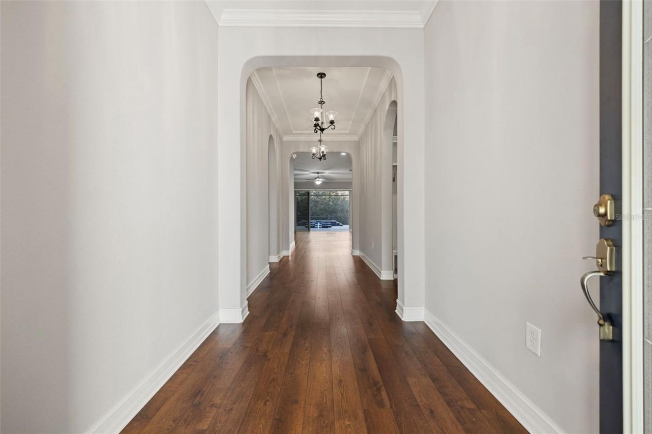 3713 Wicket Field Road, Lutz, FL 33548 Photo