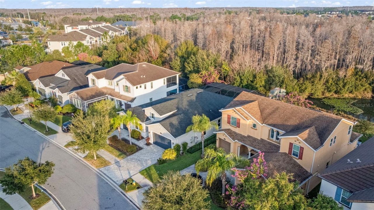 3713 Wicket Field Road, Lutz, FL 33548 Photo