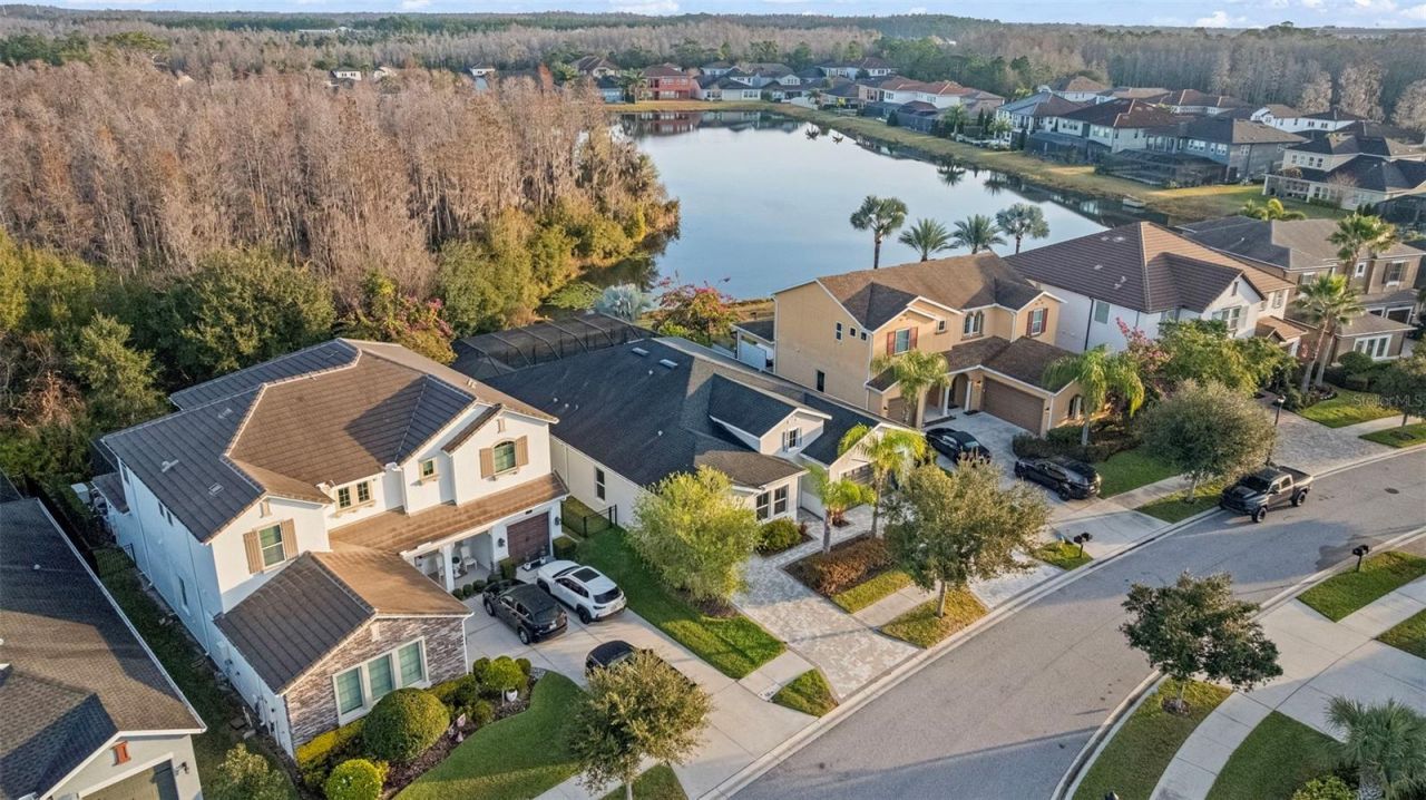 3713 Wicket Field Road, Lutz, FL 33548 Photo