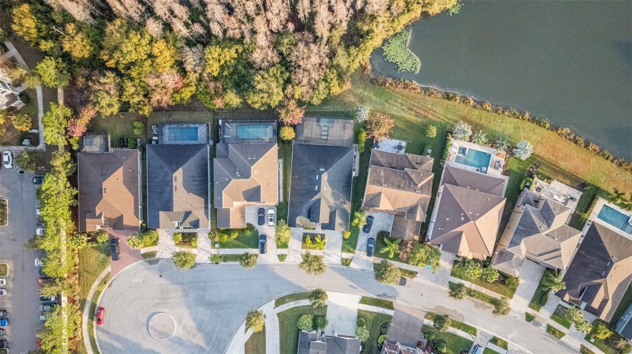 3713 Wicket Field Road, Lutz, FL 33548 Photo