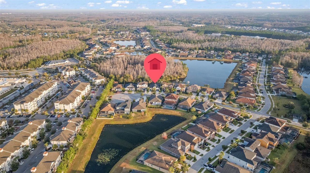 3713 Wicket Field Road, Lutz, FL 33548 Photo