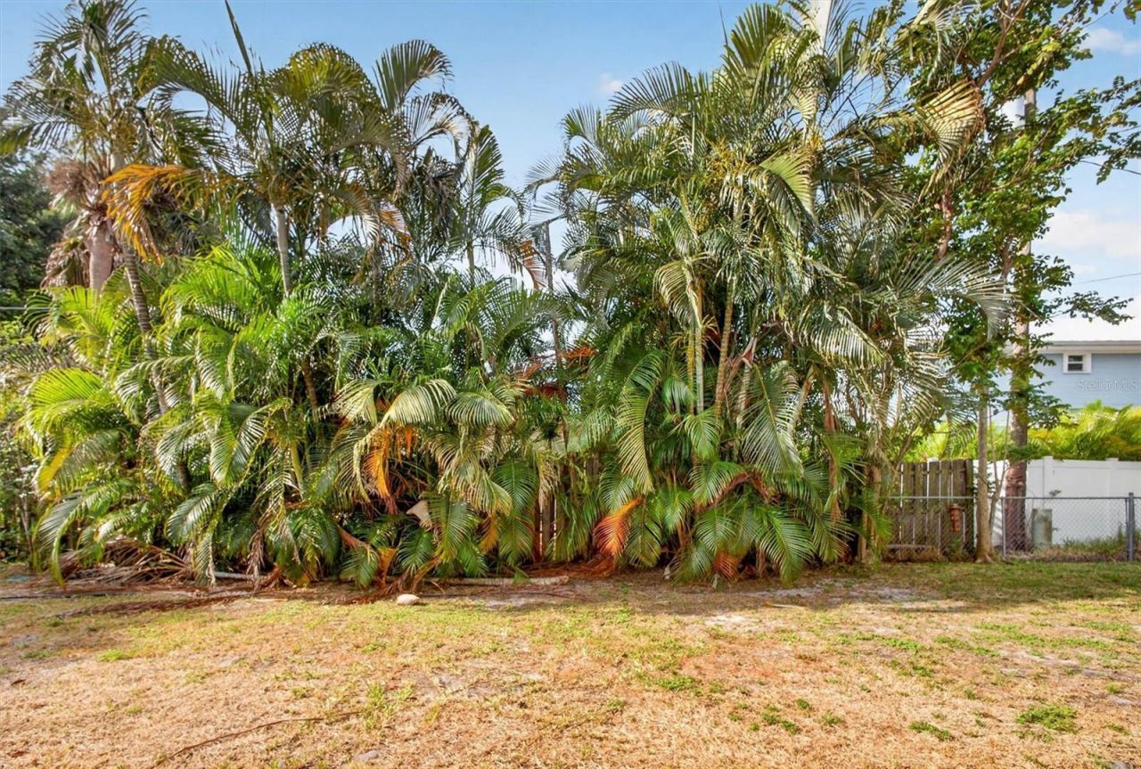1420 Maravilla Avenue, Fort Myers, FL 33901 Photo
