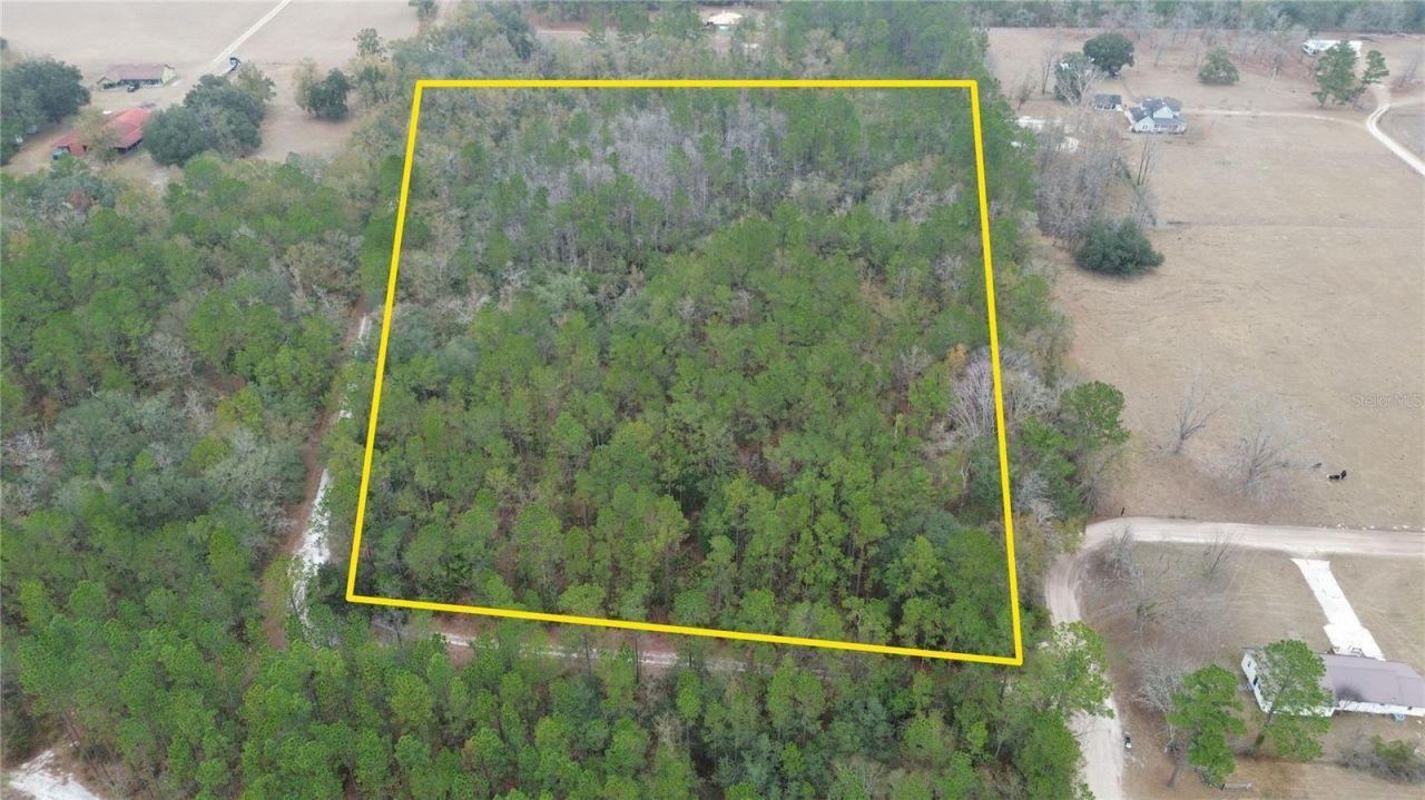 Wollitz Road, Glen Saint Mary, FL 32040 Photo